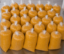 Farinha de Abóbora – 10Kg